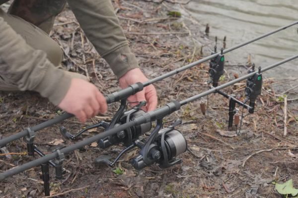Daiwa Black Widow Plus Carp Rod