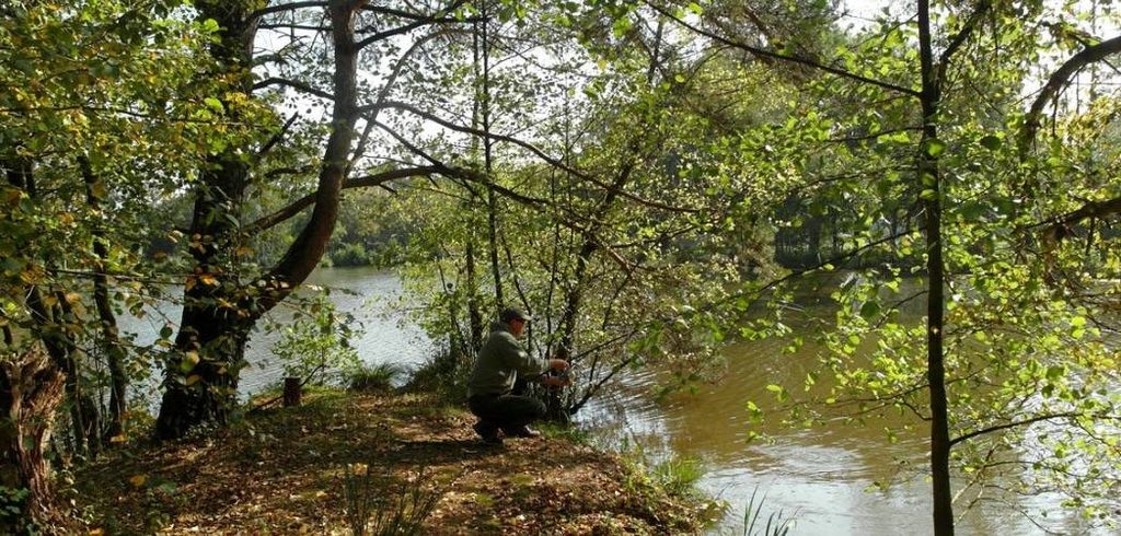 best carp stalking rods