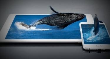 Best Fishing Games on Android