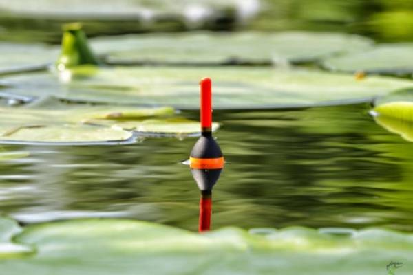 breaking strain line when float fishing for carp what breaking strain line when float fishing for carp