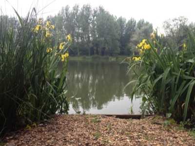 best uk fishing holidays - olivemead lake best uk fishing holidays - olivemead lake