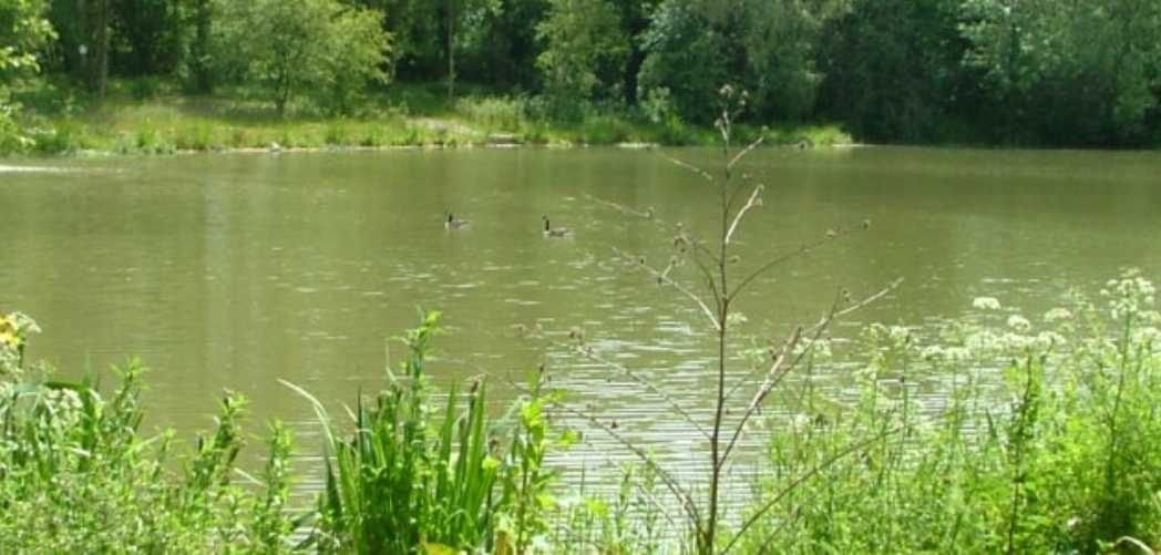Olivemead Lake Pet Friendly Log Cabins with Fishing