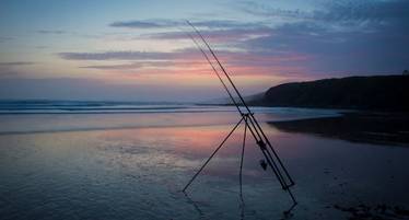 Best Sea Fishing beachcasters best fishing rod for beginners