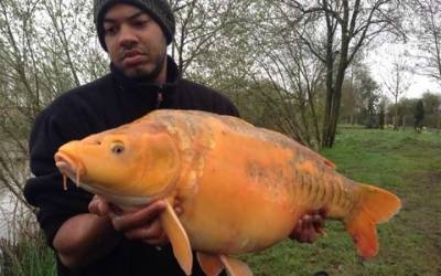 Bearley Lakes exclusive carp fishing venues in England