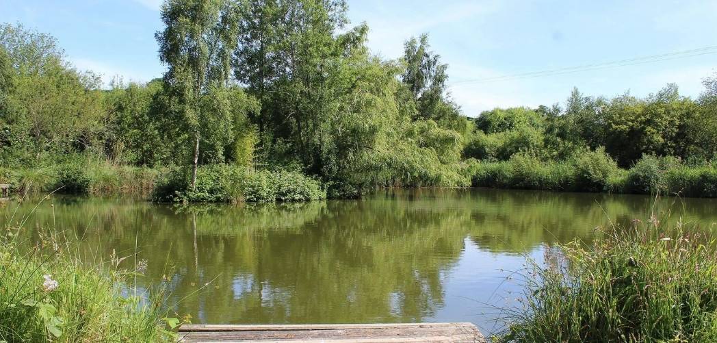 Cofton Holidays Best Pet Friendly Log Cabins with Fishing