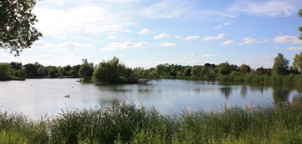 Nash Church Lake 50lb carp lake uk