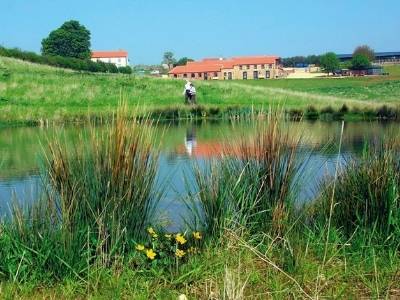 Poachers Hideaway Pet friendly log cabins with fishing