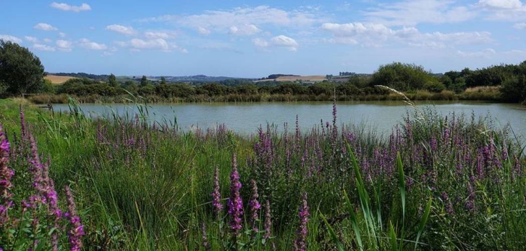 Poachers Hideaway Pet friendly log cabins with fishing