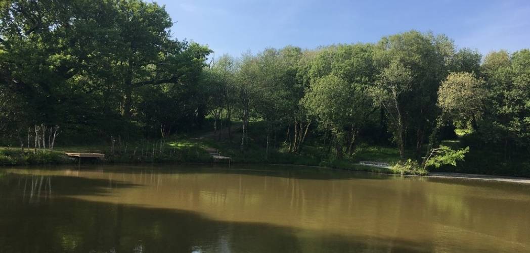 Tinney Waters Pet Friendly Log Cabins with Fishing
