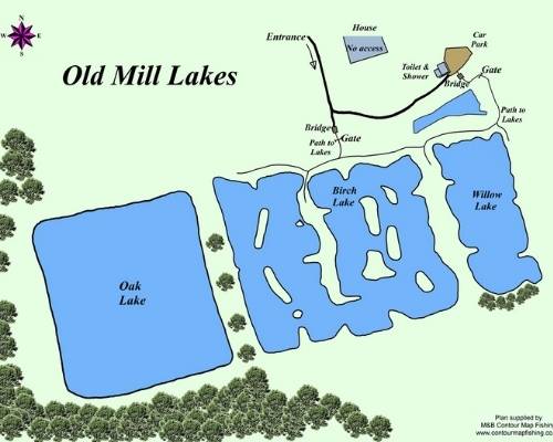 Old Mill Lakes Layout Uk carp lakes with 50lb fish in