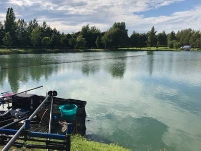 Wold View Fisheries Pet Friendly Log Cabins with Fishing