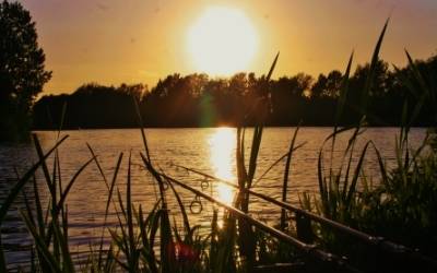 churn pool fishery exclusive carp fishing in england