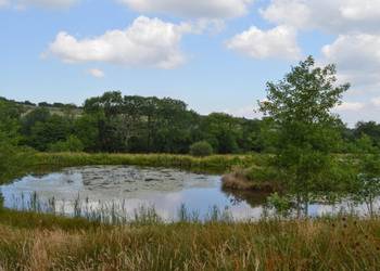 nirvana lakes best 50lb carp lakes UK
