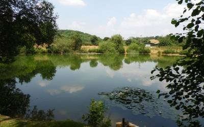 westfield fishery best exclusive carp lakes in England