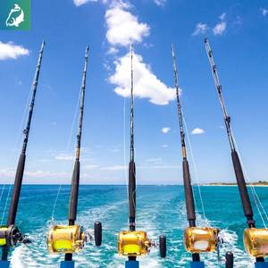 Boat Fishing Rods best fishing rod for beginners