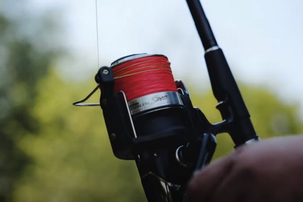 A spod rod shock leader